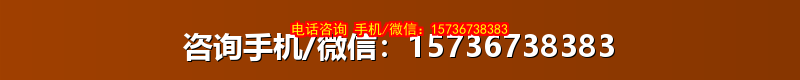 咨询手机/微信：15736738383